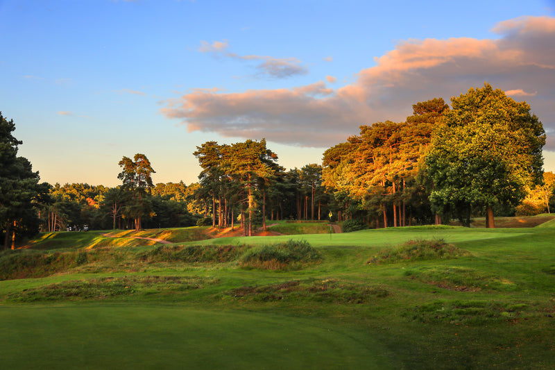 Camberley Heath Pairs 2026 extra image