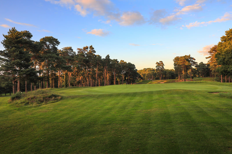 Camberley Heath Pairs 2026 extra image