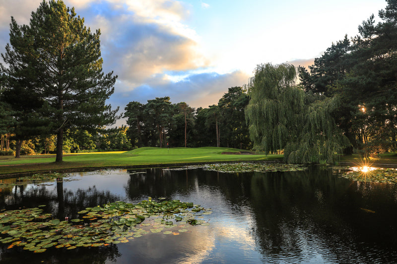 Camberley Heath Pairs 2026 extra image
