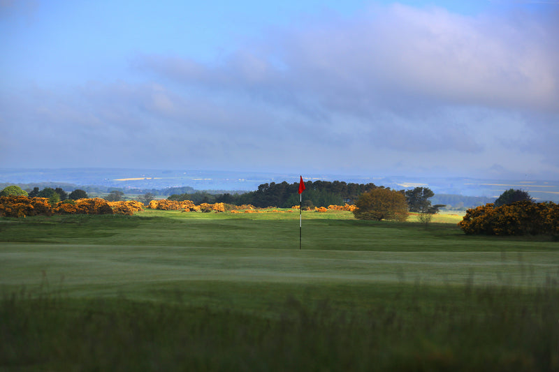 Ganton Pairs 2026 extra image