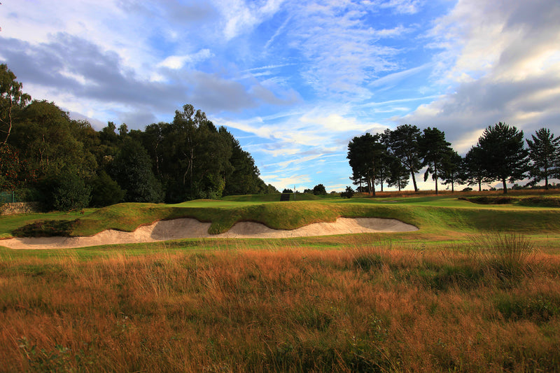 Moortown Pairs 2026 extra image