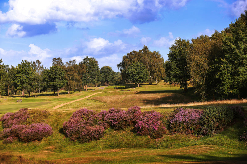 Royal Ashdown Forest Pairs 2026 extra image