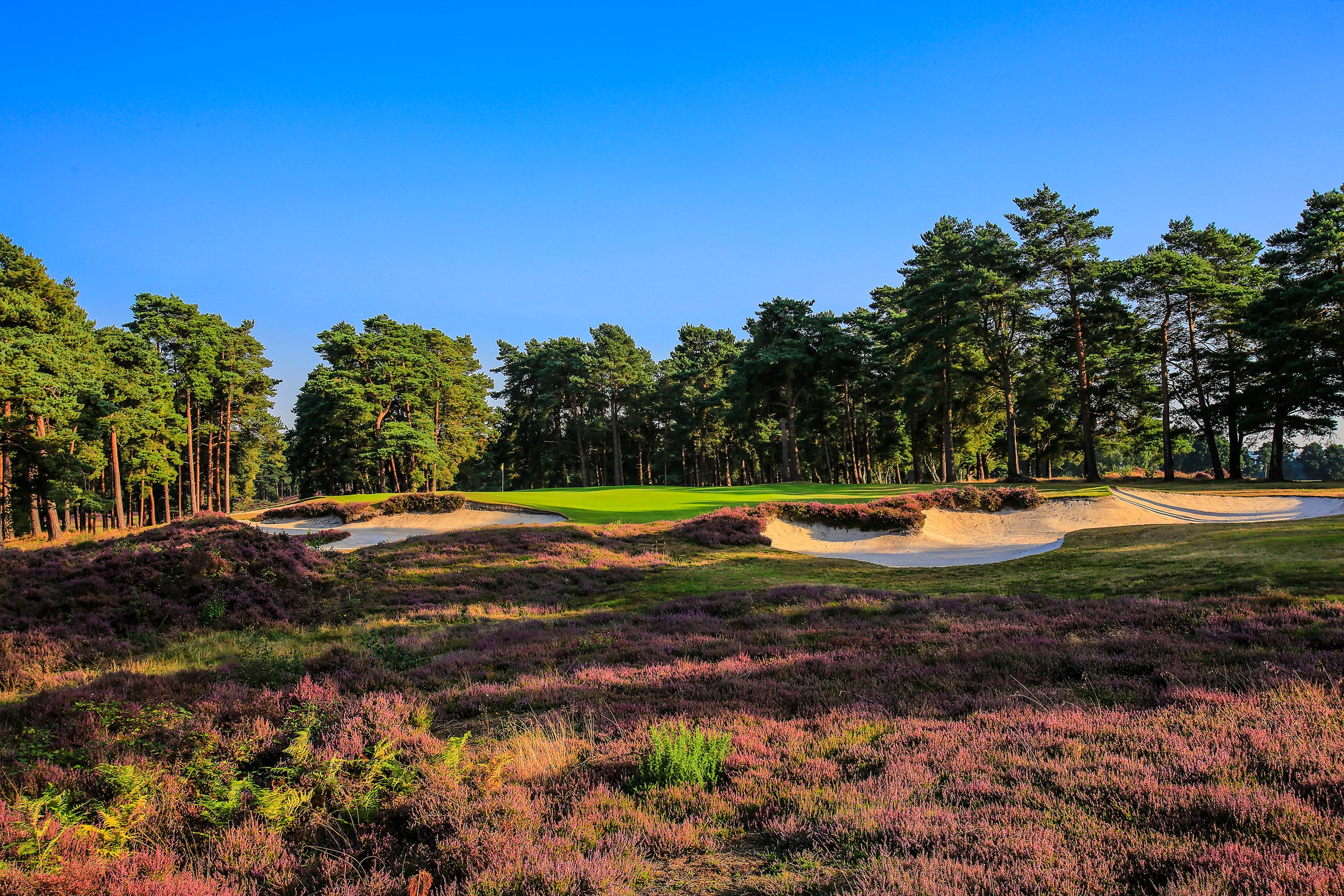 west sussex golf club dress code West Sussex Golf Course Feature Review