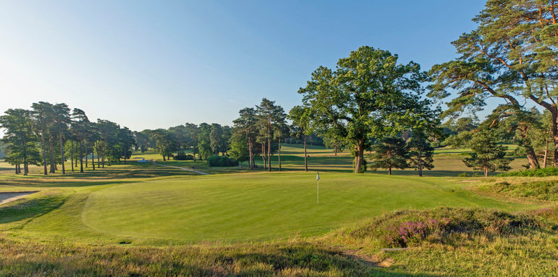 Worplesdon Pairs 2026 extra image