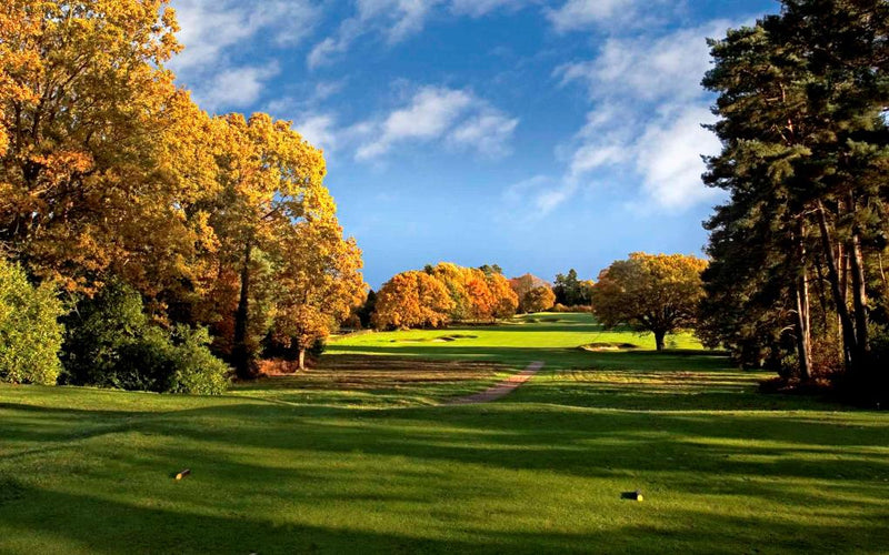 Worplesdon Pairs 2026 extra image