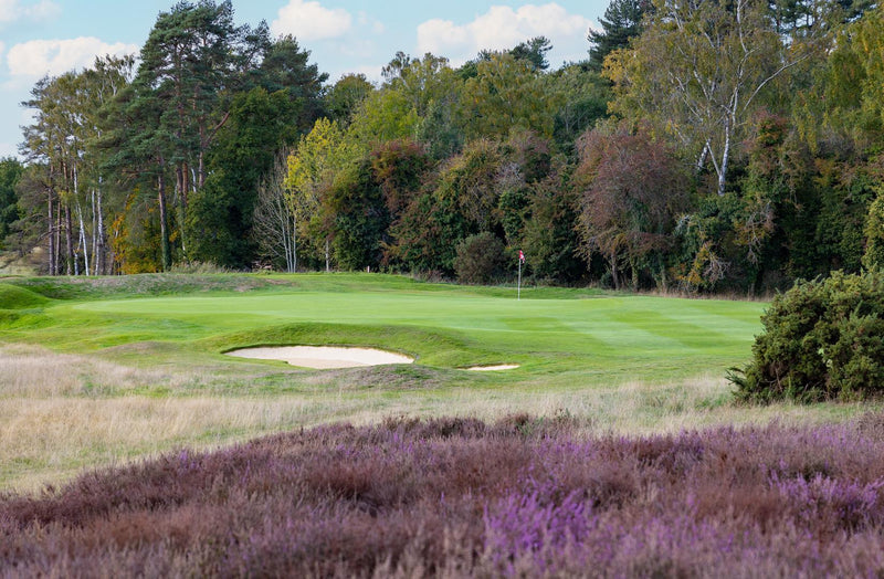 Frilford Heath Pairs 2026 extra image