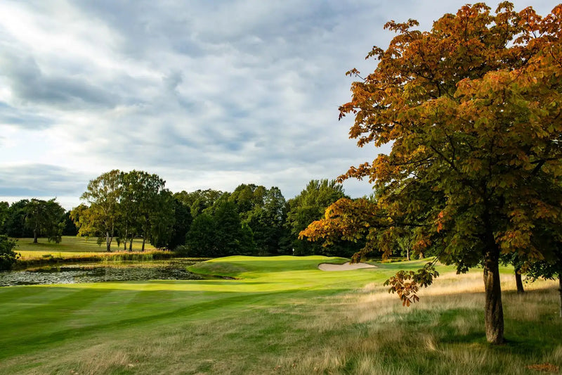 Little Aston Pairs 2026 extra image