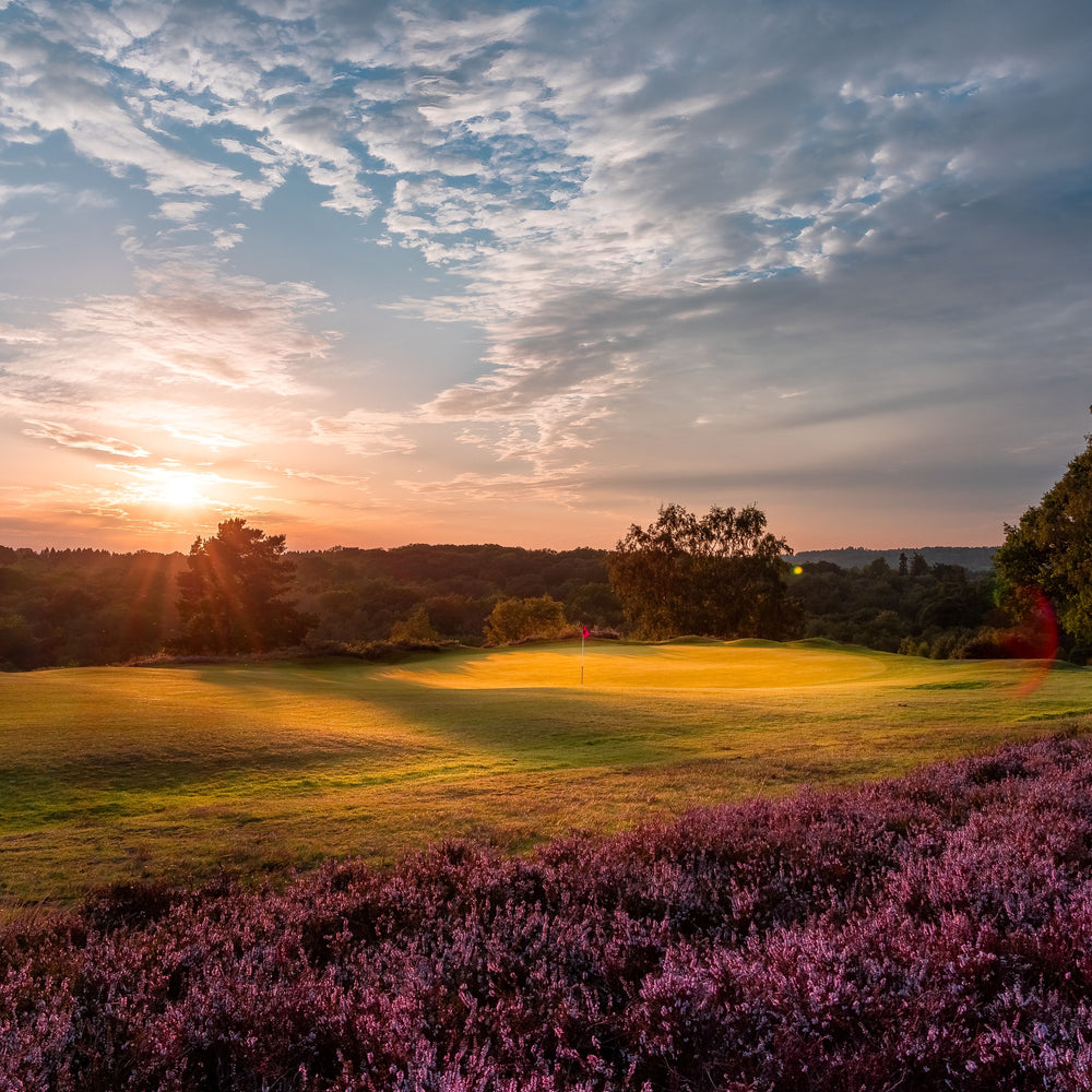 
                  
                    Royal Ashdown Forest Pairs 2026
                  
                