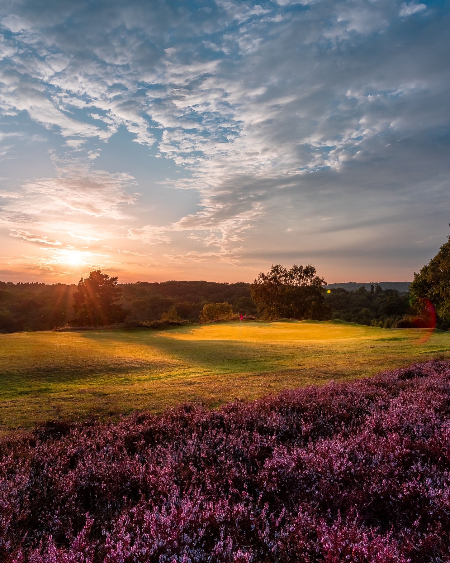 
                  
                    Royal Ashdown Forest Pairs 2026
                  
                