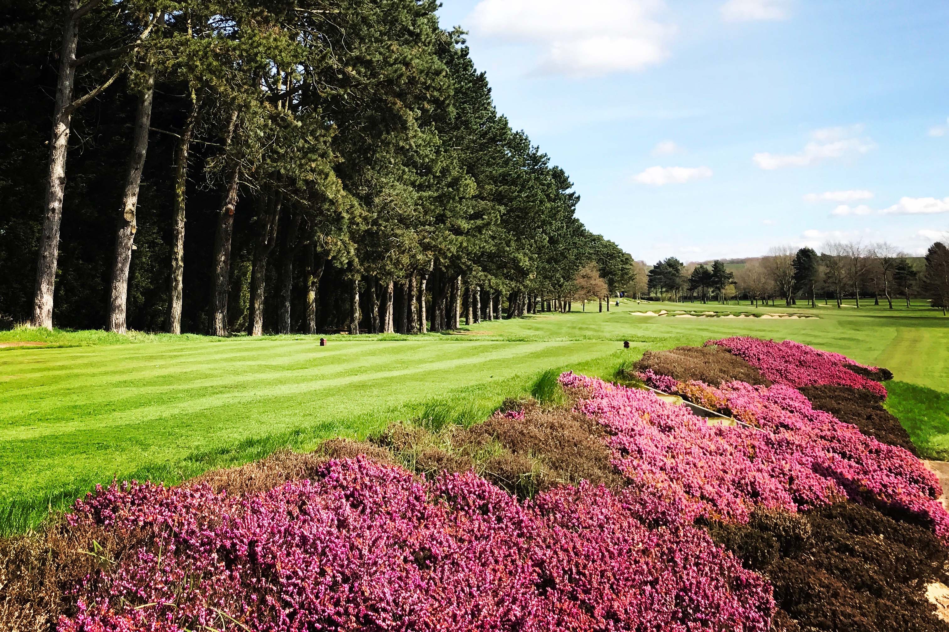 Blackwell Pairs 2026