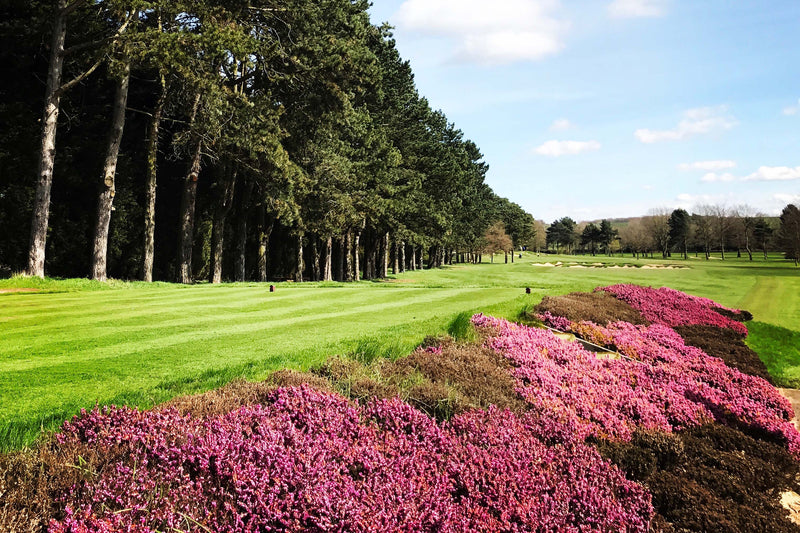 Blackwell Pairs 2026 extra image