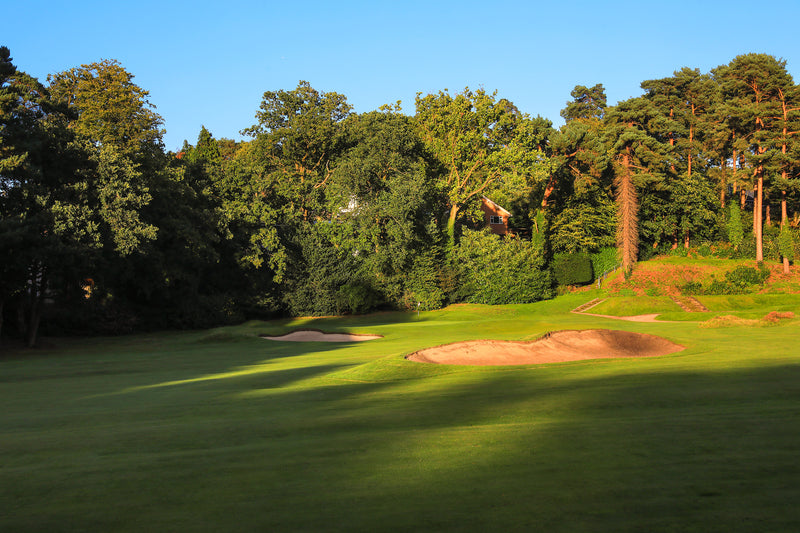 Camberley Heath Pairs 2026 extra image