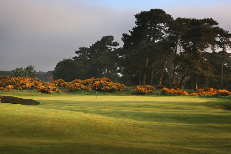 Ganton Pairs 2026 extra image