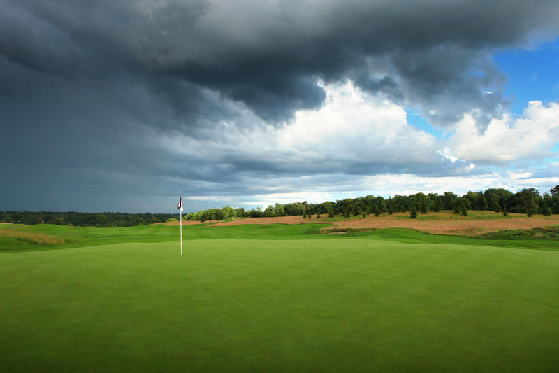 The Grove Pairs 2026 extra image