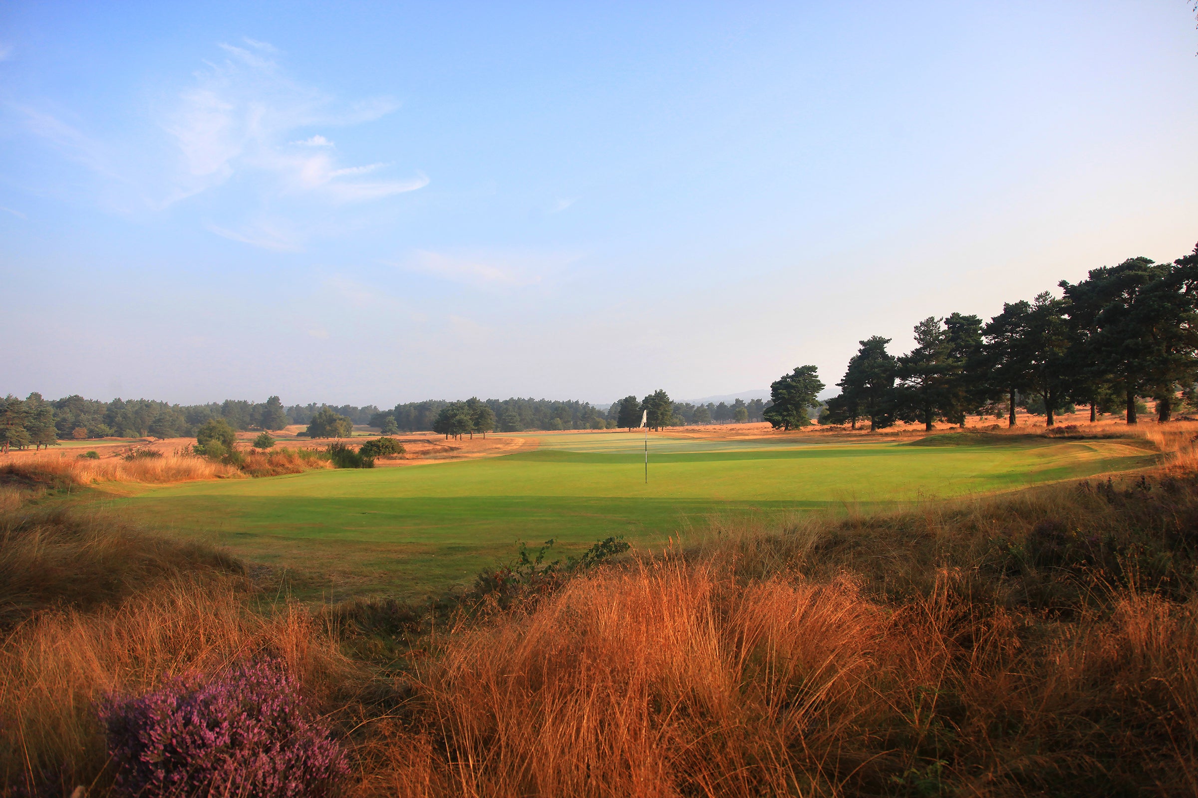 Hankley Common Pairs 2027