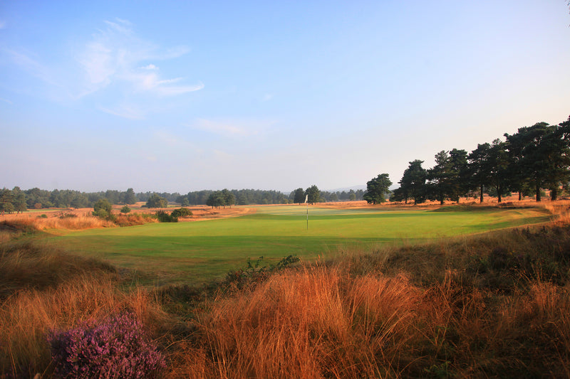 Hankley Common Pairs 2027 extra image