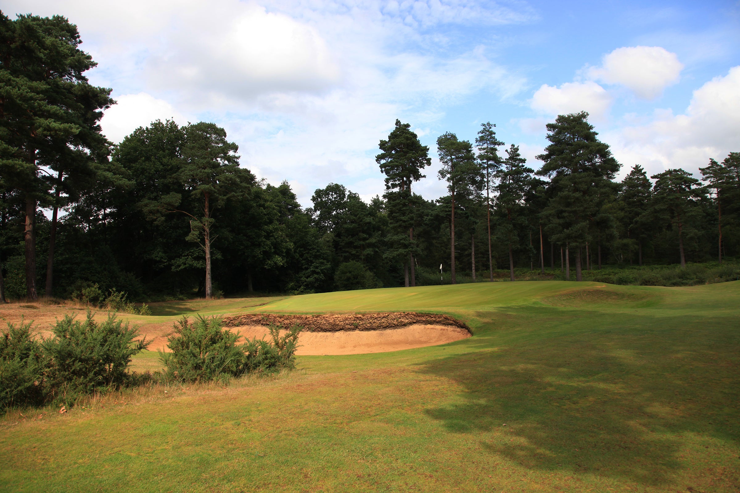 Hankley Common Pairs 2027