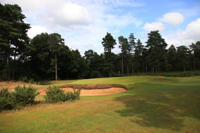 Hankley Common Pairs 2027 extra image