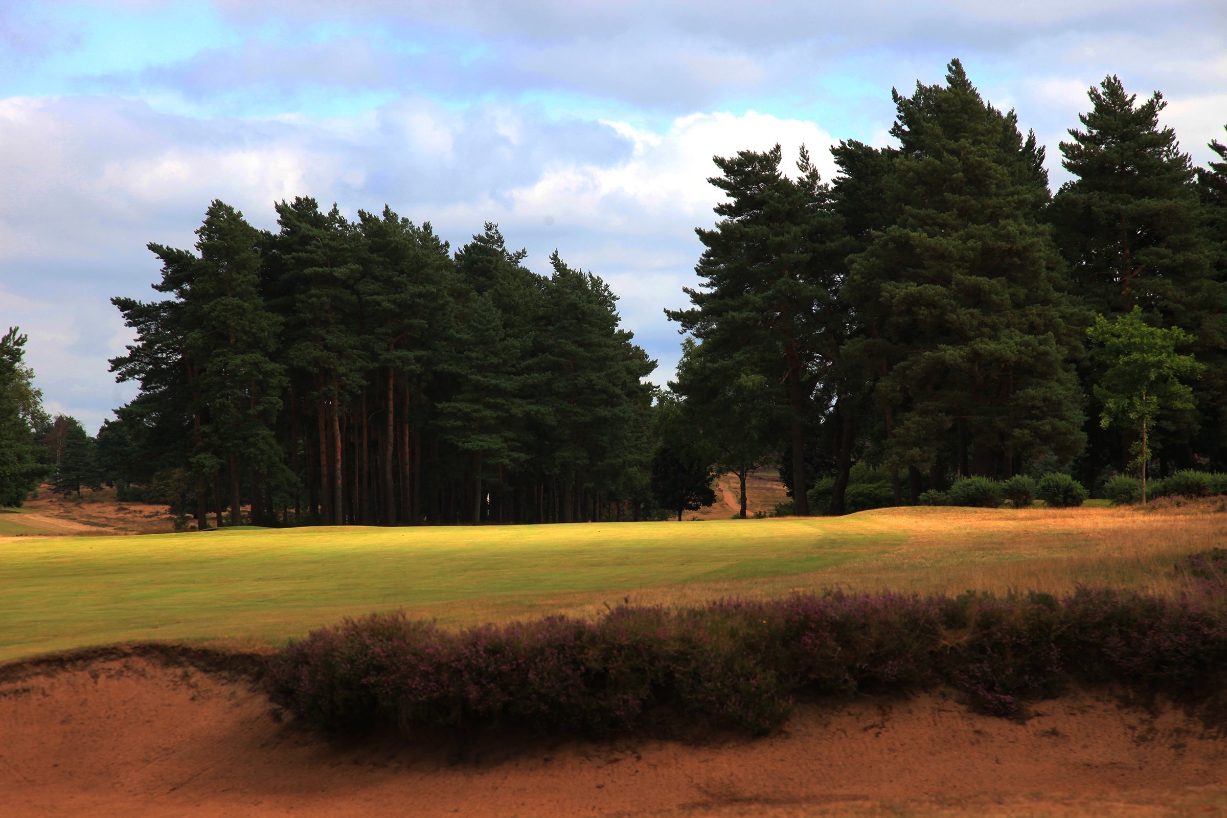 Hankley Common Pairs 2027