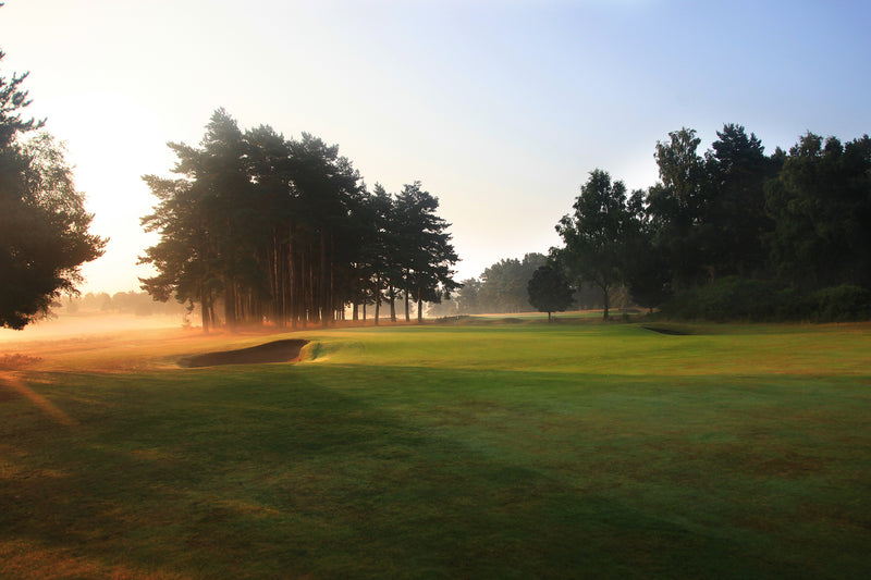 Hankley Common Pairs 2027 extra image
