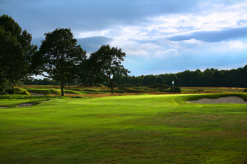 Moortown Pairs 2026 extra image