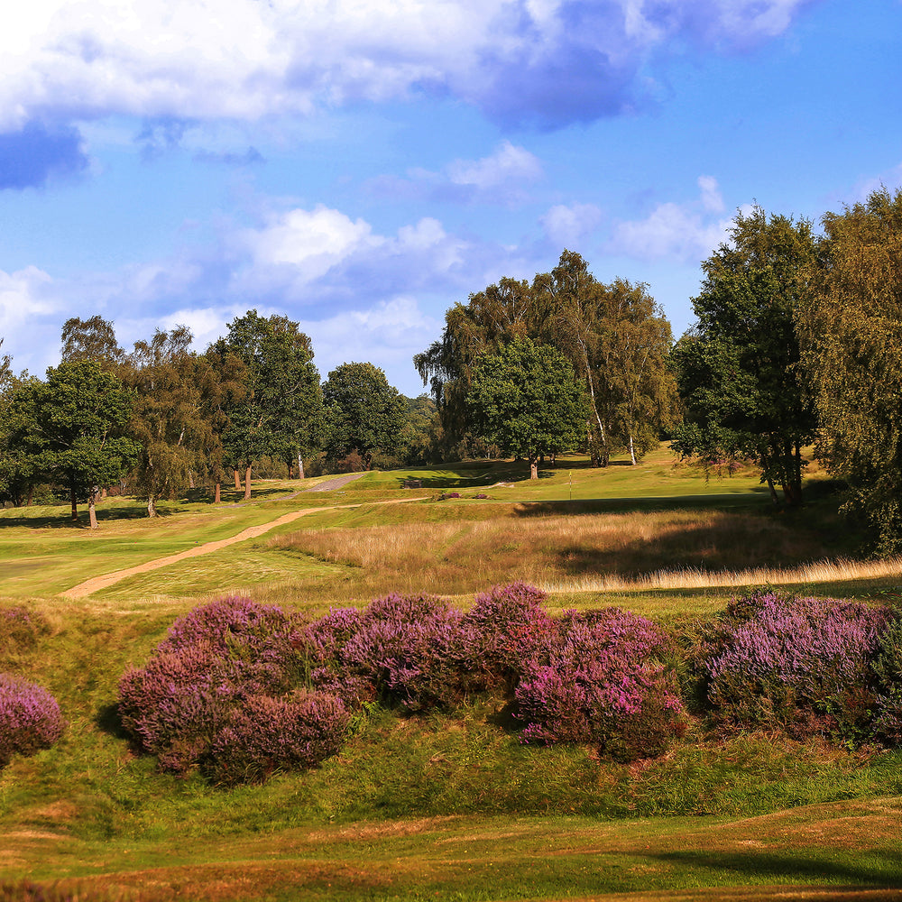 
                  
                    Royal Ashdown Forest Pairs 2026
                  
                