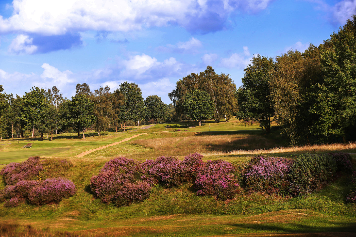 
                  
                    Royal Ashdown Forest Pairs 2026
                  
                