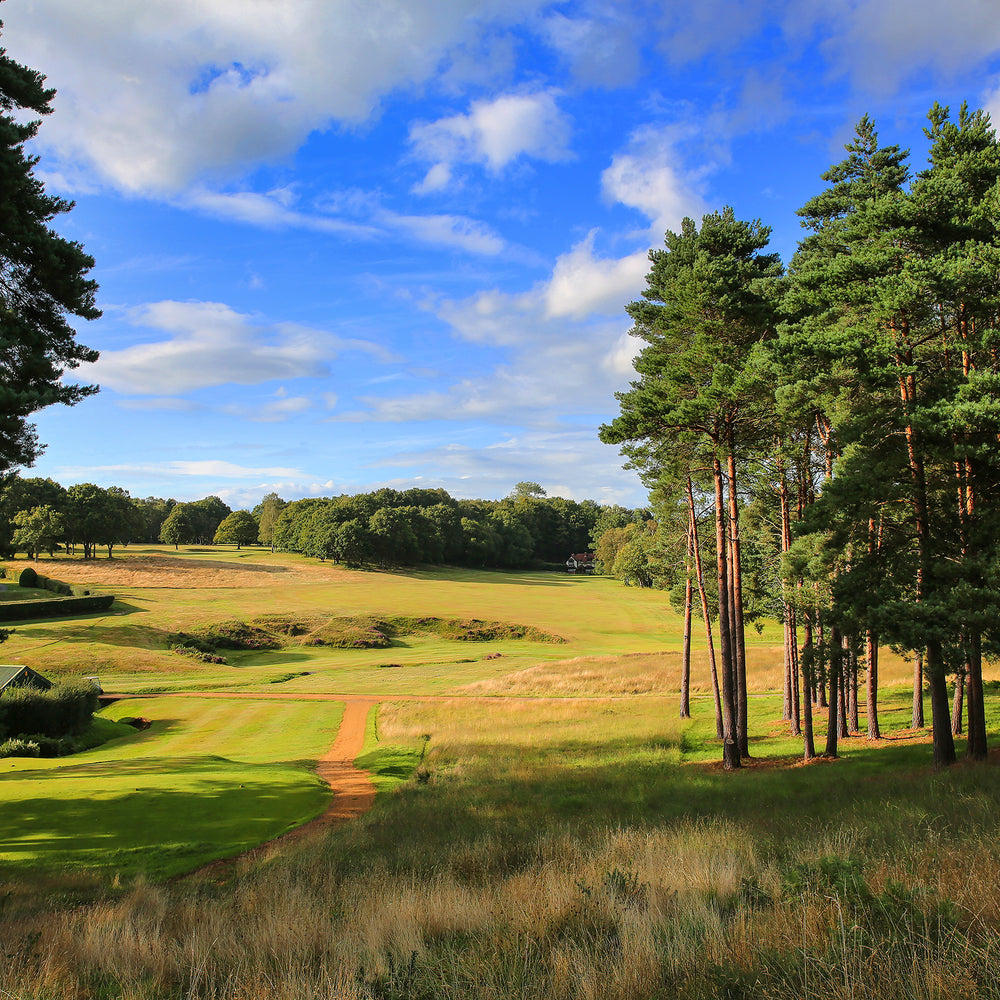 
                  
                    Royal Ashdown Forest Pairs 2026
                  
                