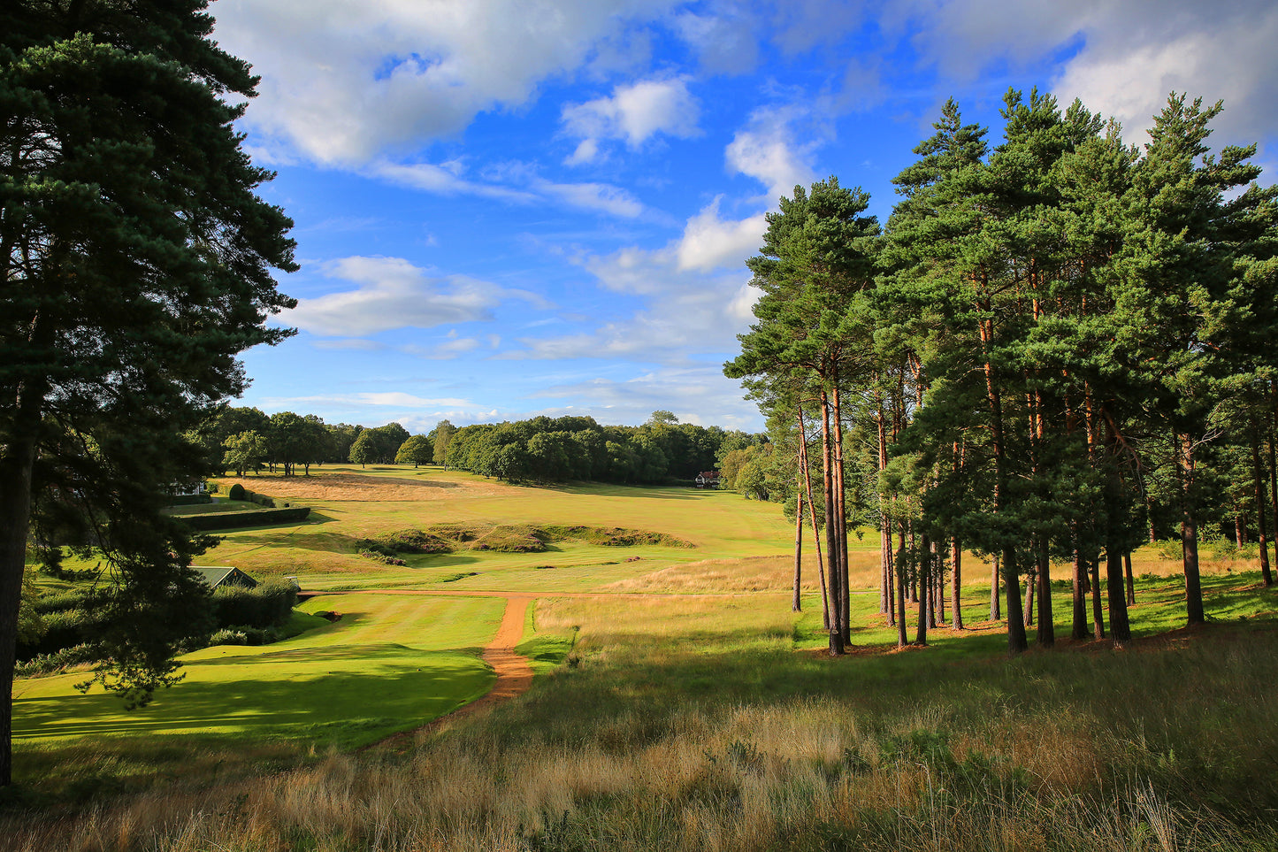 
                  
                    Royal Ashdown Forest Pairs 2026
                  
                