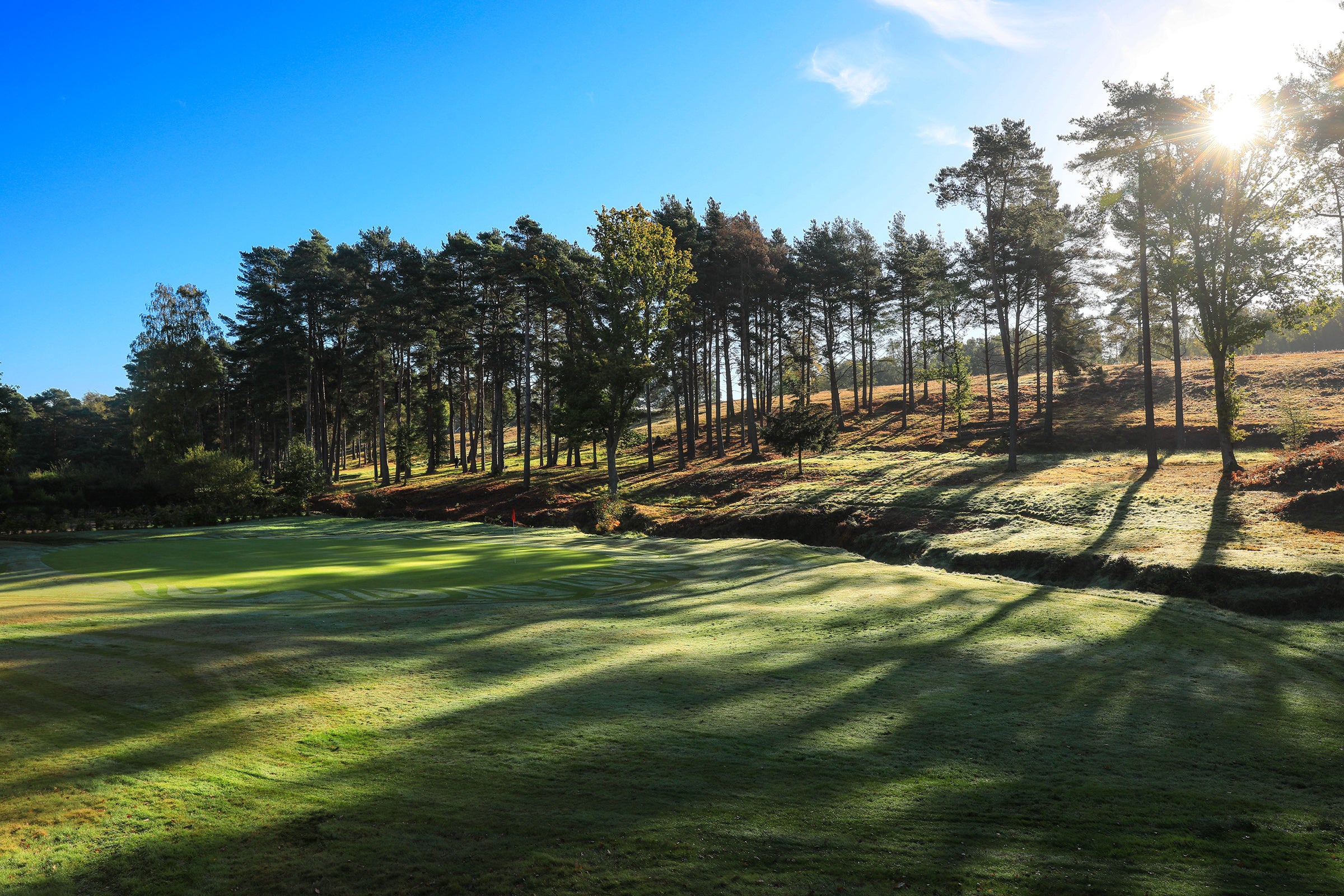 Royal Ashdown Forest Pairs 2026