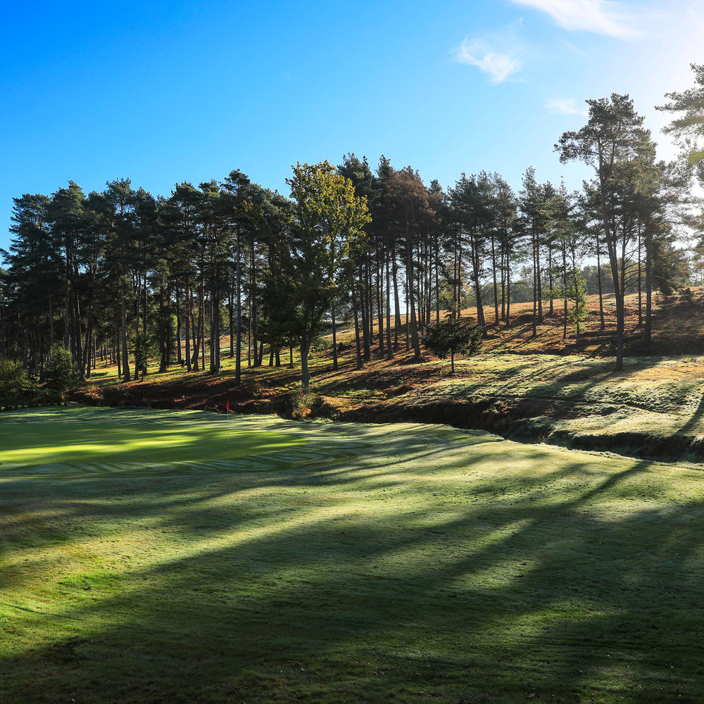 
                  
                    Royal Ashdown Forest Pairs 2026
                  
                