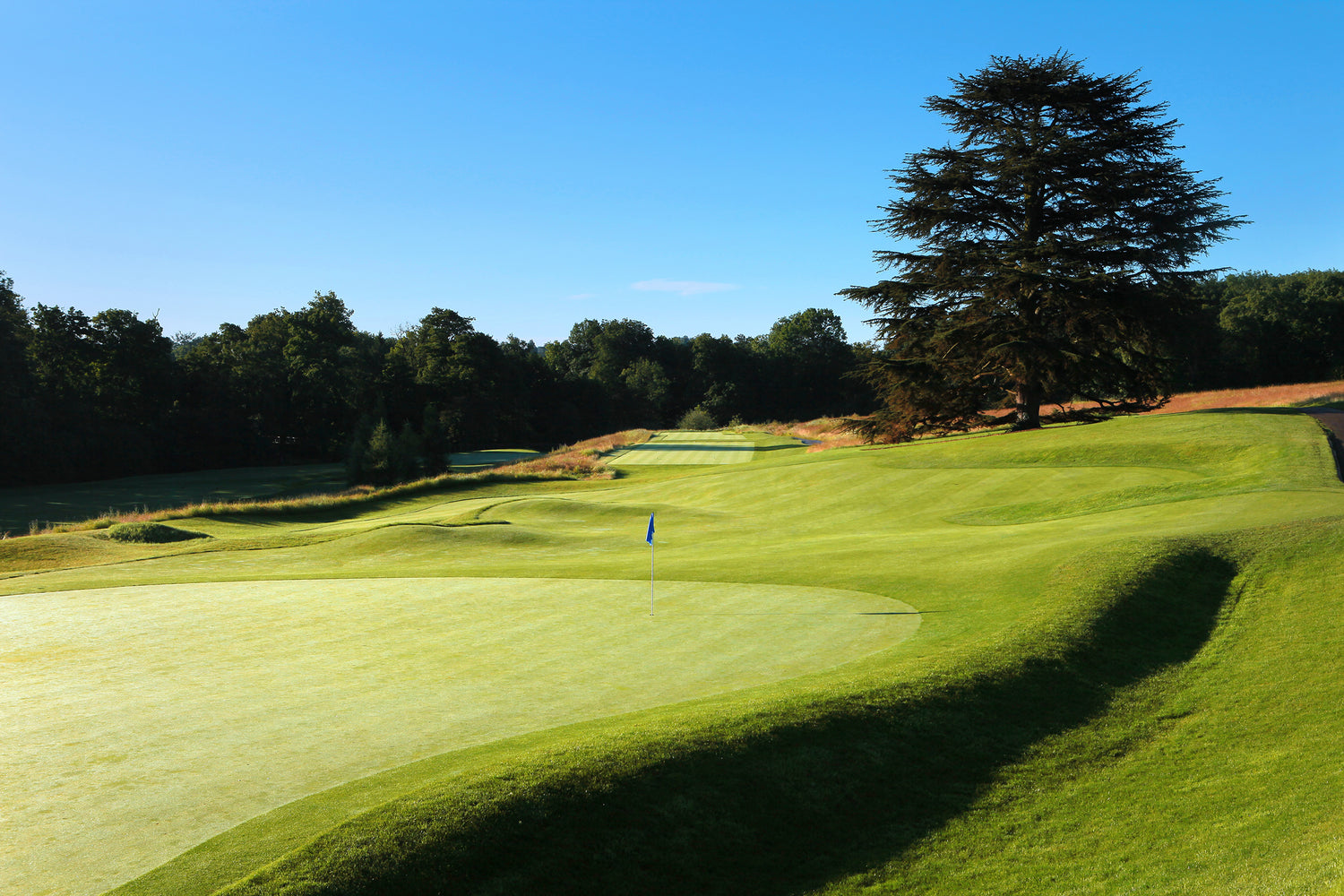 The Grove Pairs 2026