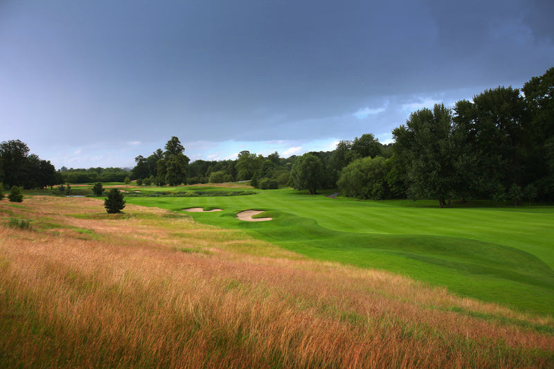 The Grove Pairs 2026 extra image