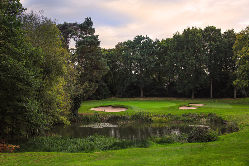 West Byfleet Pairs 2026 extra image