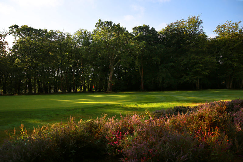 West Hill Pairs 2026 extra image