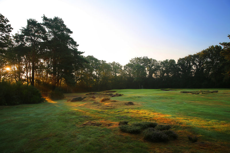 West Hill Pairs 2026 extra image