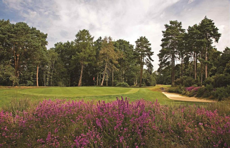 Worplesdon Pairs 2026 extra image