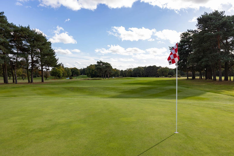 Frilford Heath Pairs 2026 extra image