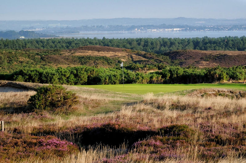 Isle of Purbeck Pairs 2027 extra image